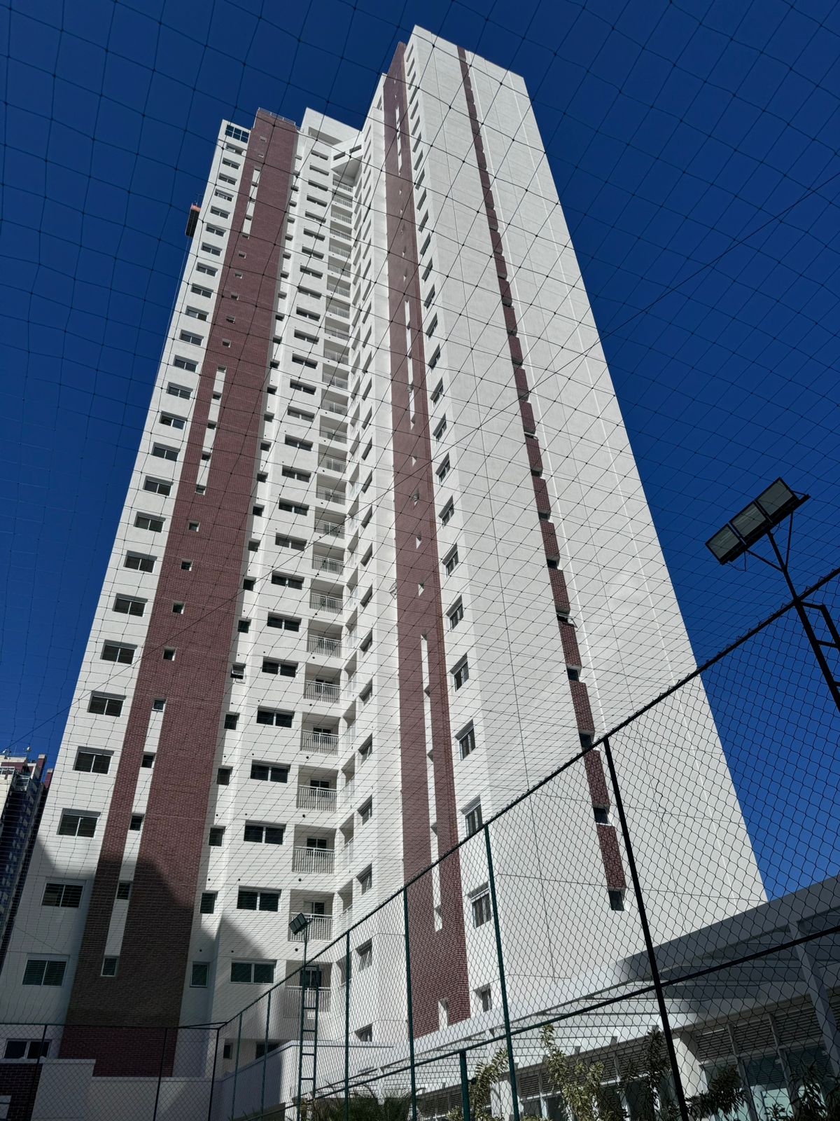 Projeto 1